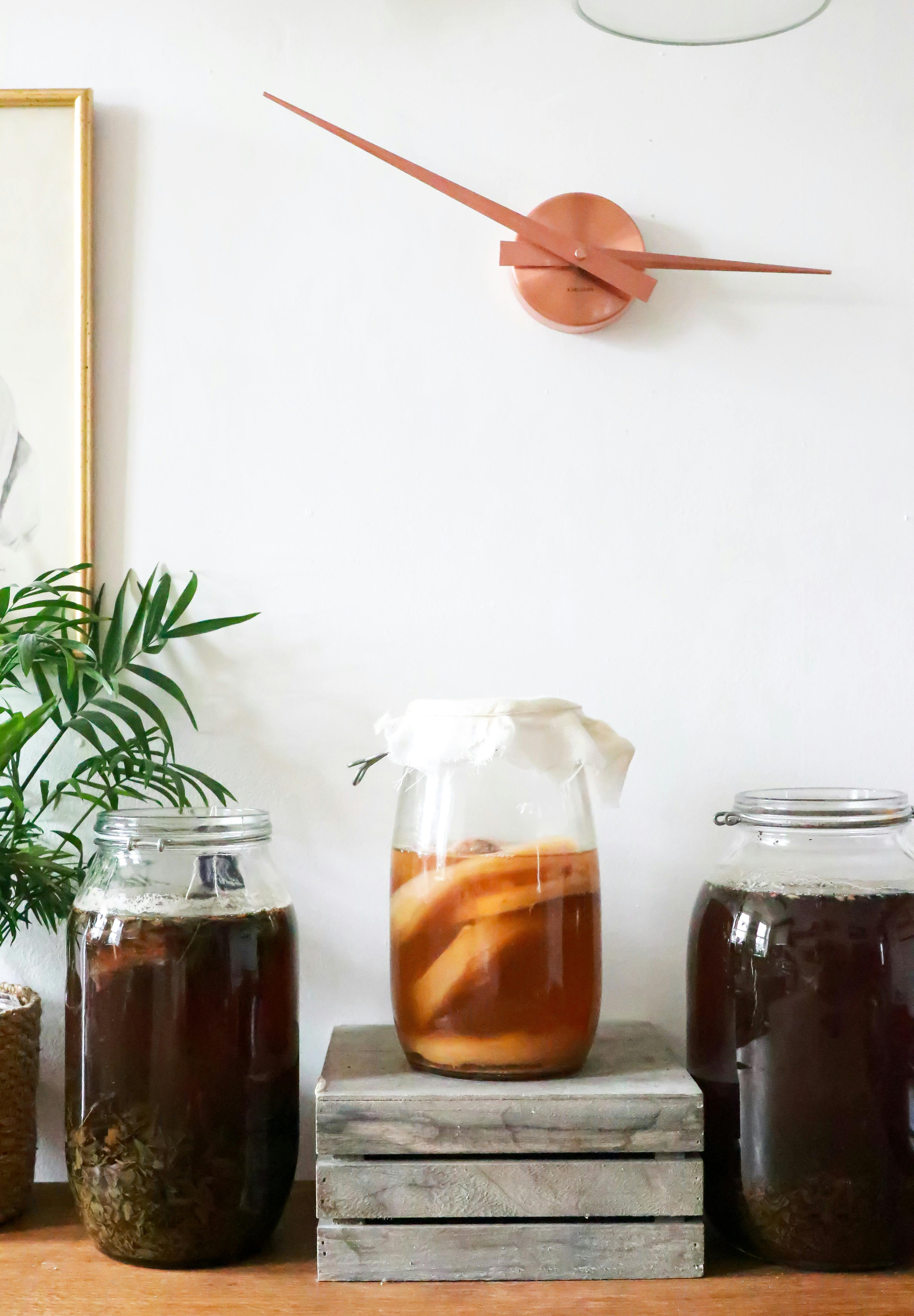 3 Essential Things you need to known about Kombucha Tea