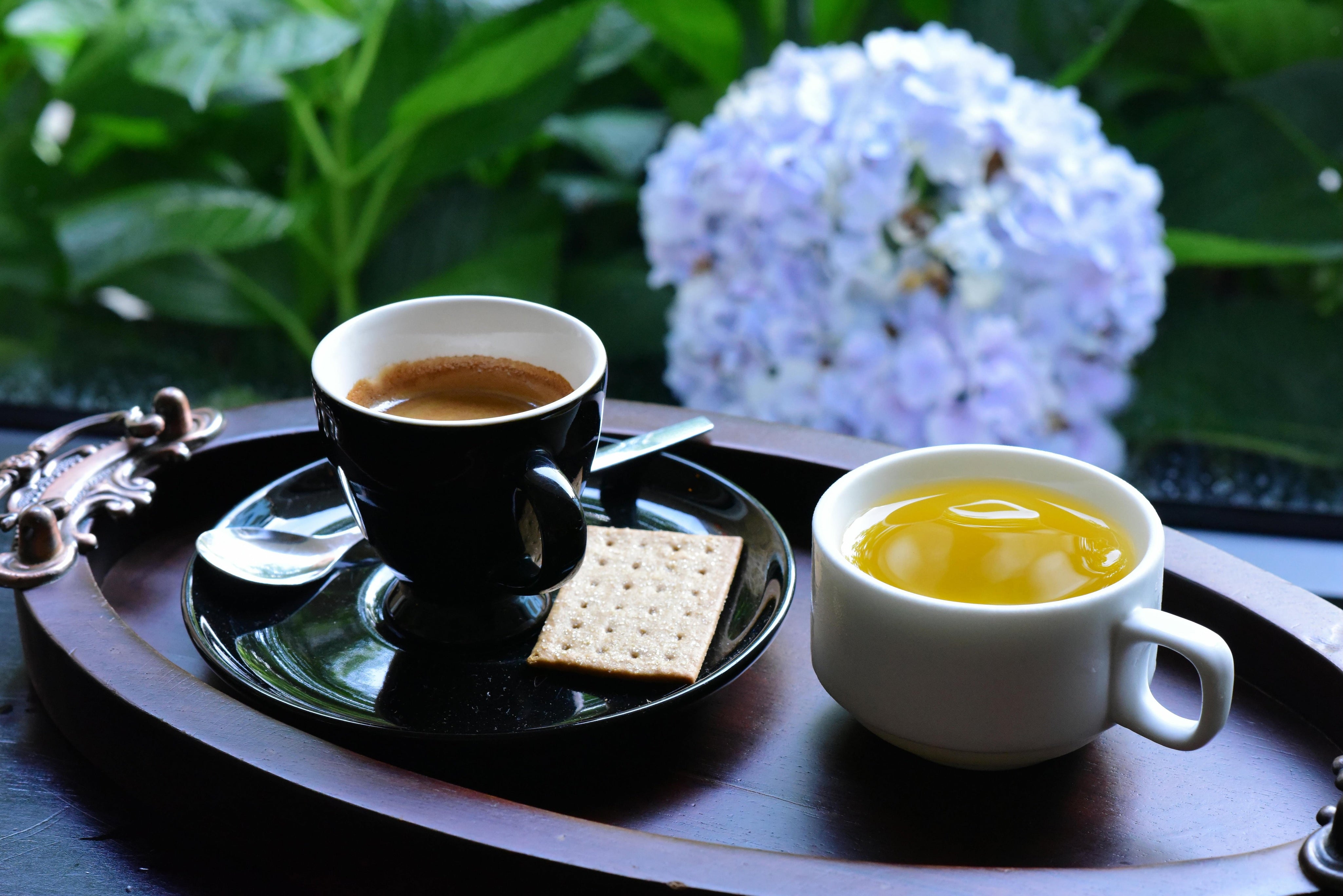 What’s Brewing at Short and Stout Tea in June