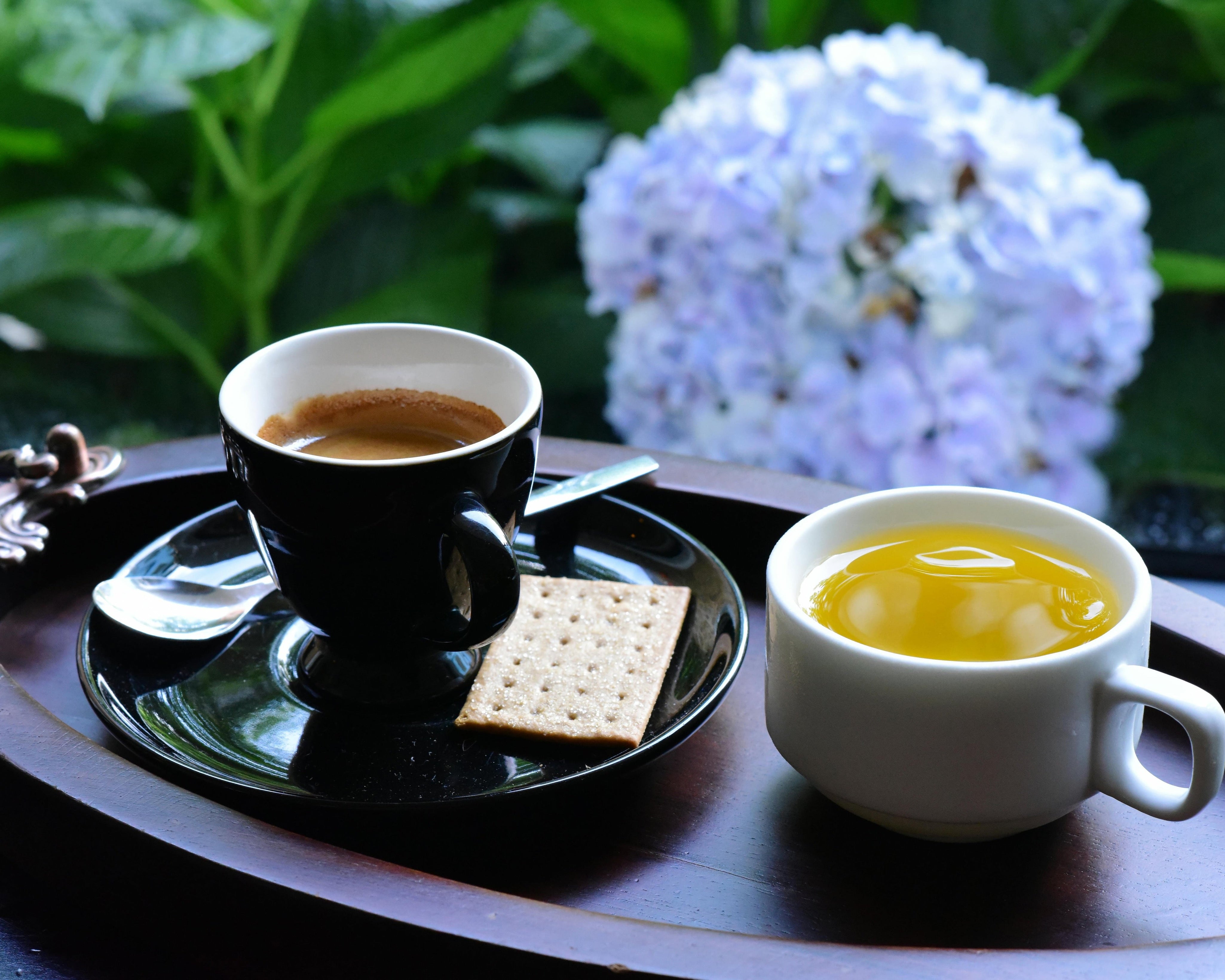 What’s Brewing at Short and Stout Tea in June