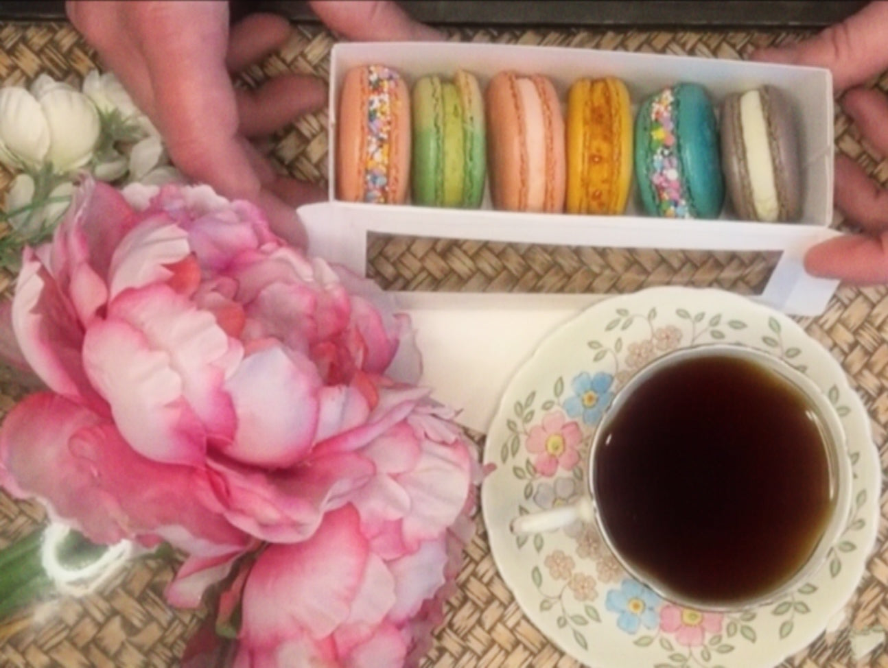 What’s Brewing at Short and Stout in February