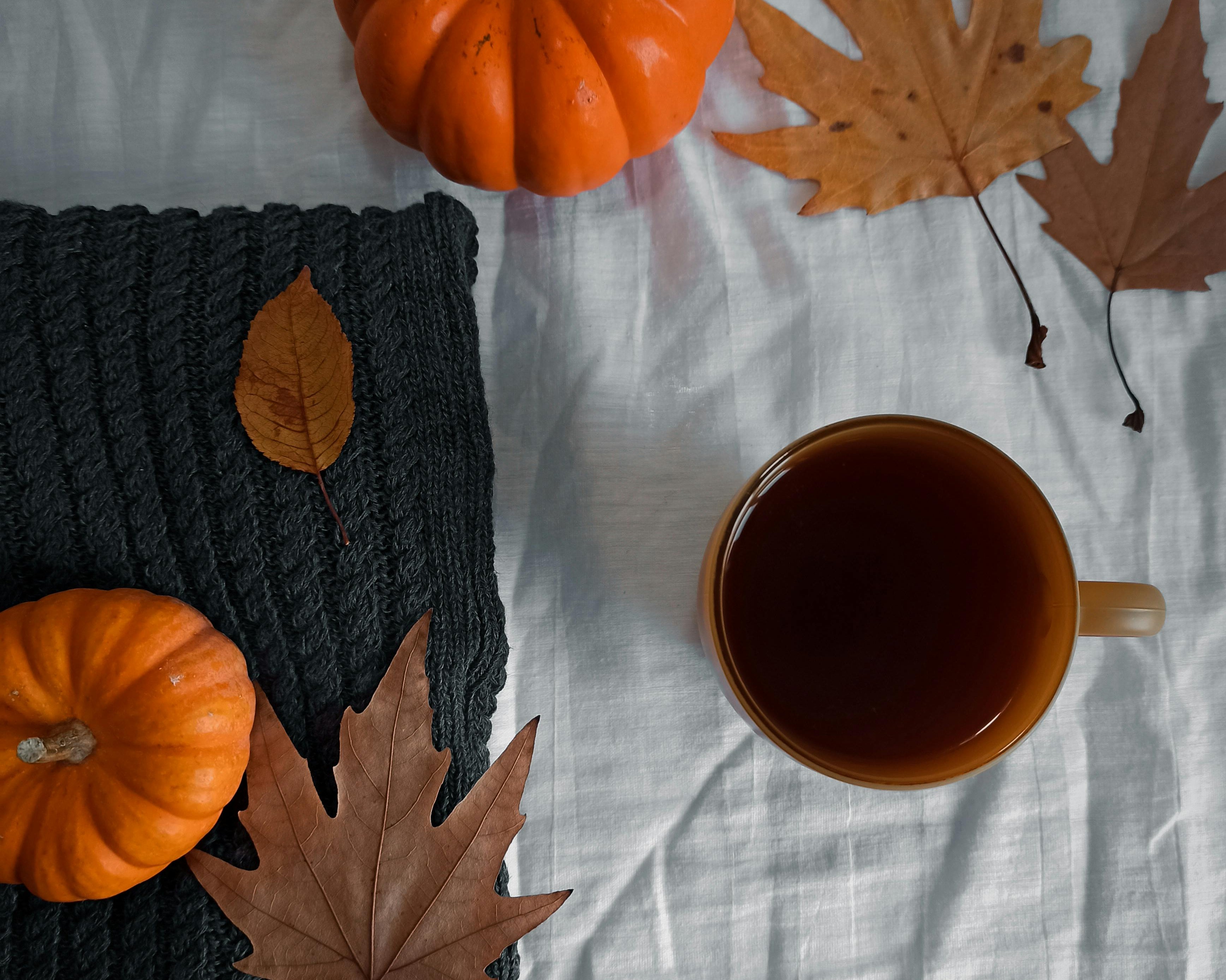 What’s Brewing at Short and Stout Tea in October