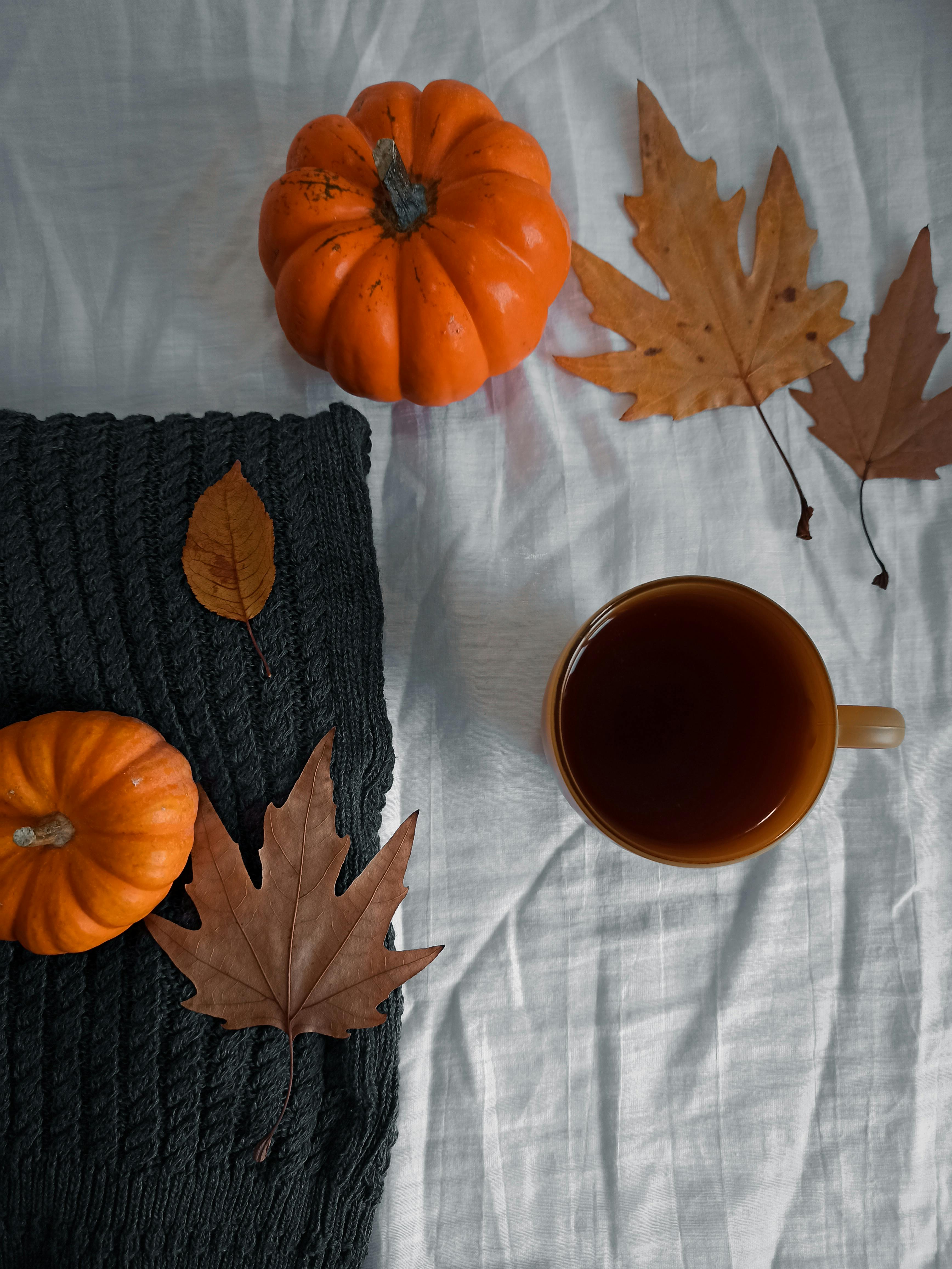 What’s Brewing at Short and Stout Tea in October