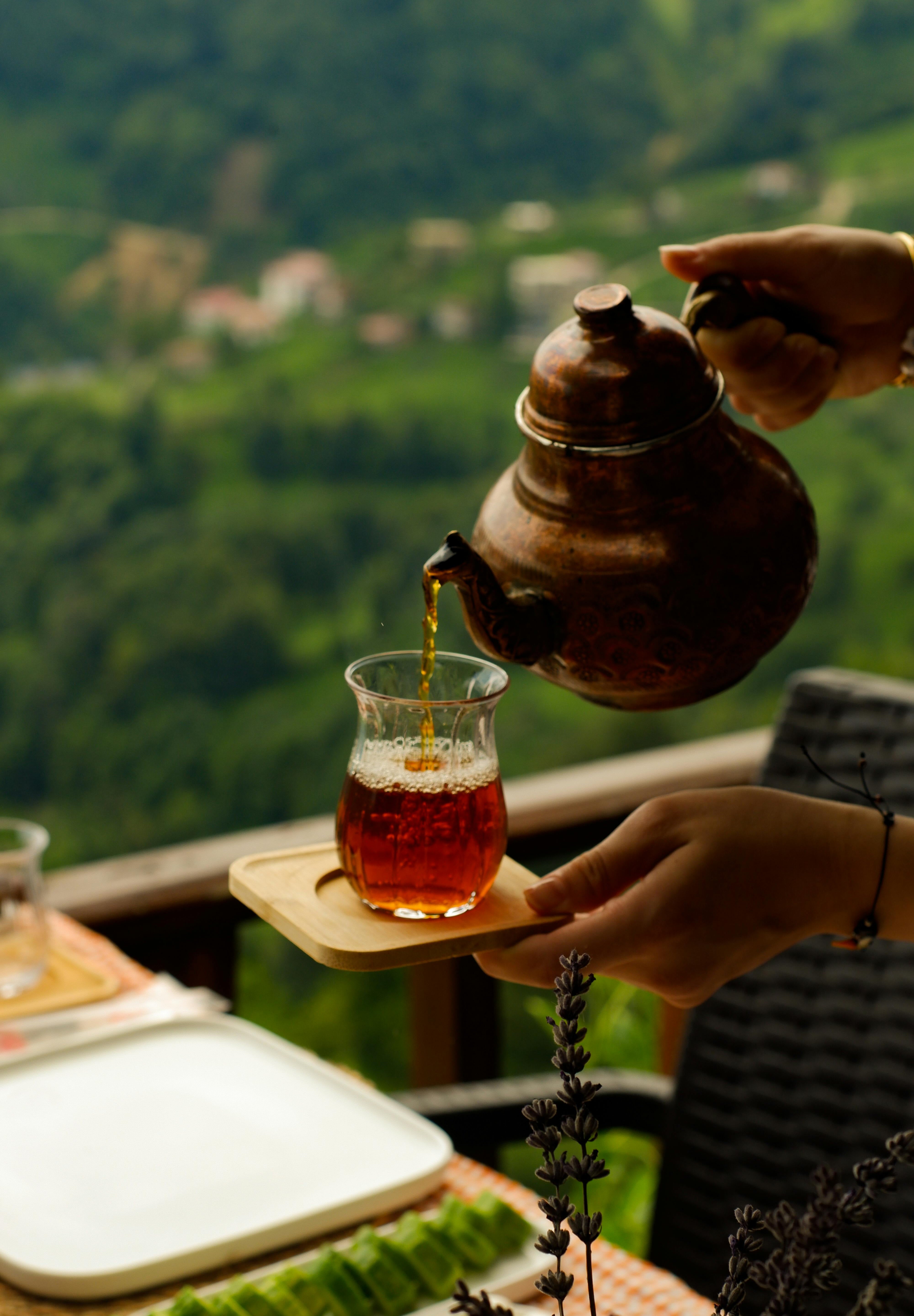 What’s Brewing at Short and Stout in January