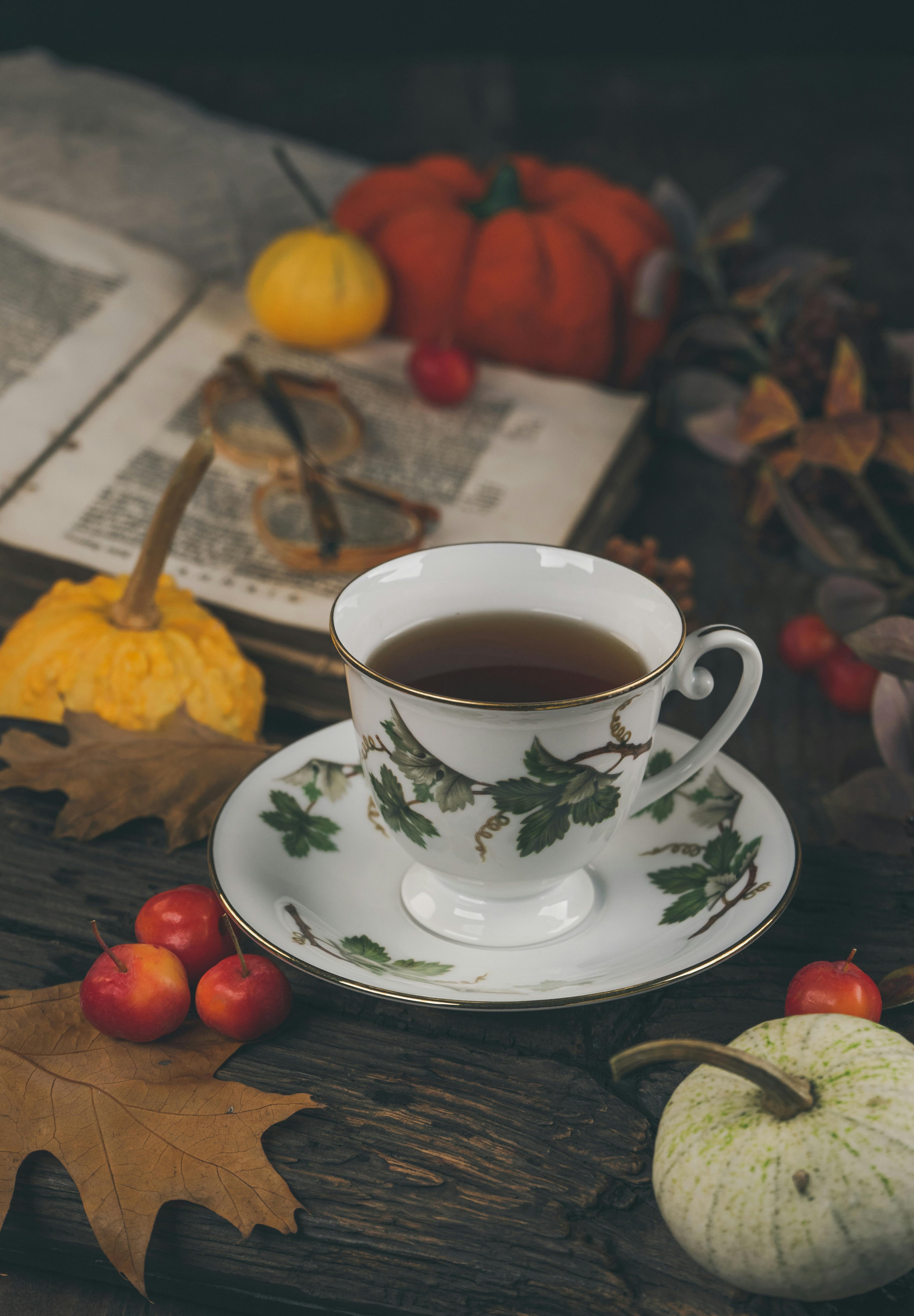 What’s Brewing at Short and Stout in November