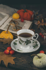 What’s Brewing at Short and Stout in November