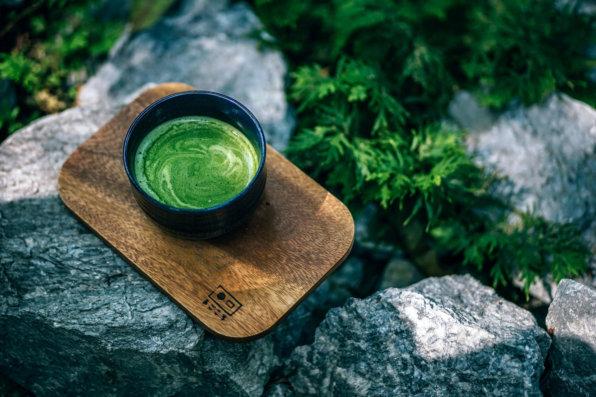Tea Journey to Northern Thailand: Part 1 of 6