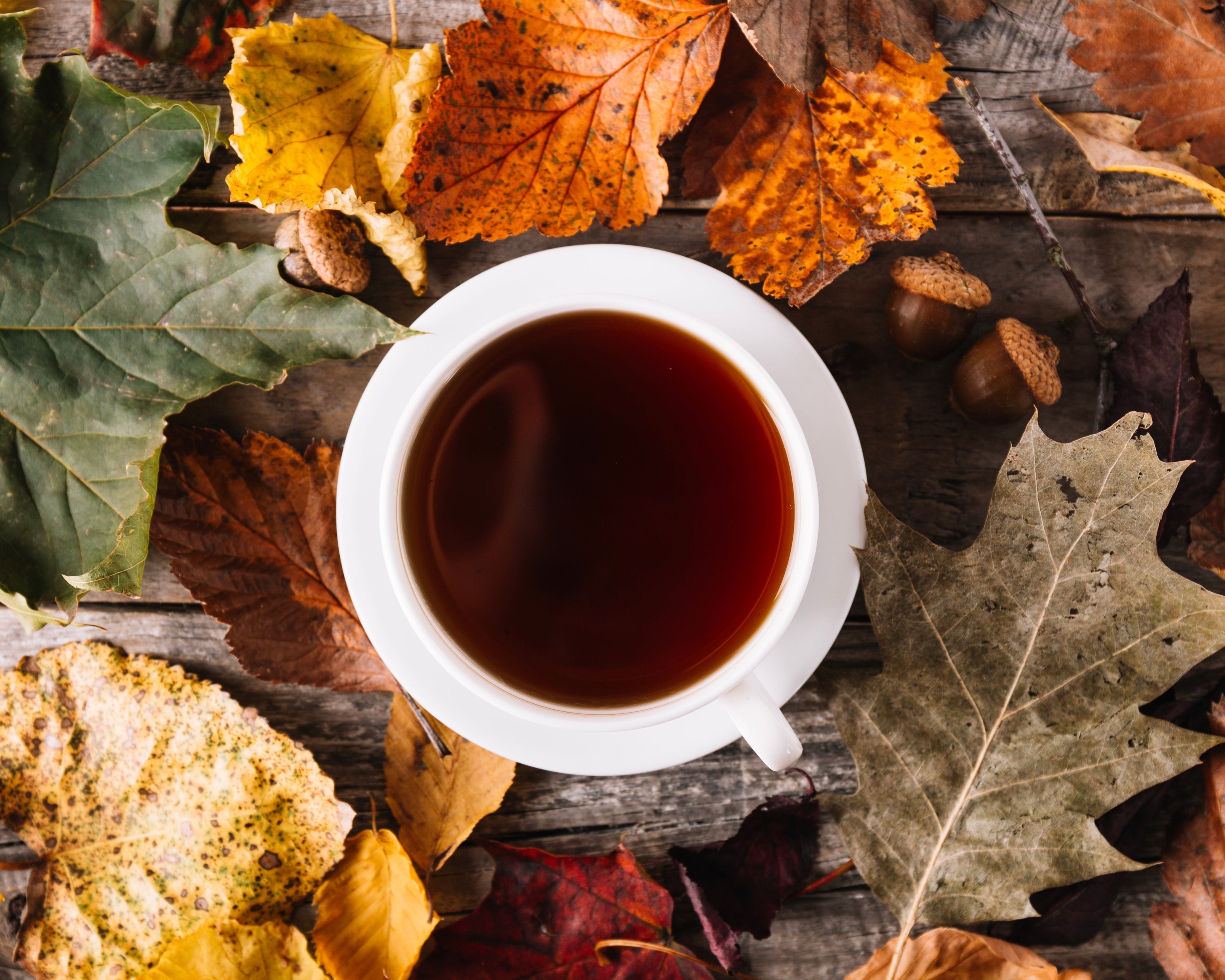 Fall Tea Spotlight
