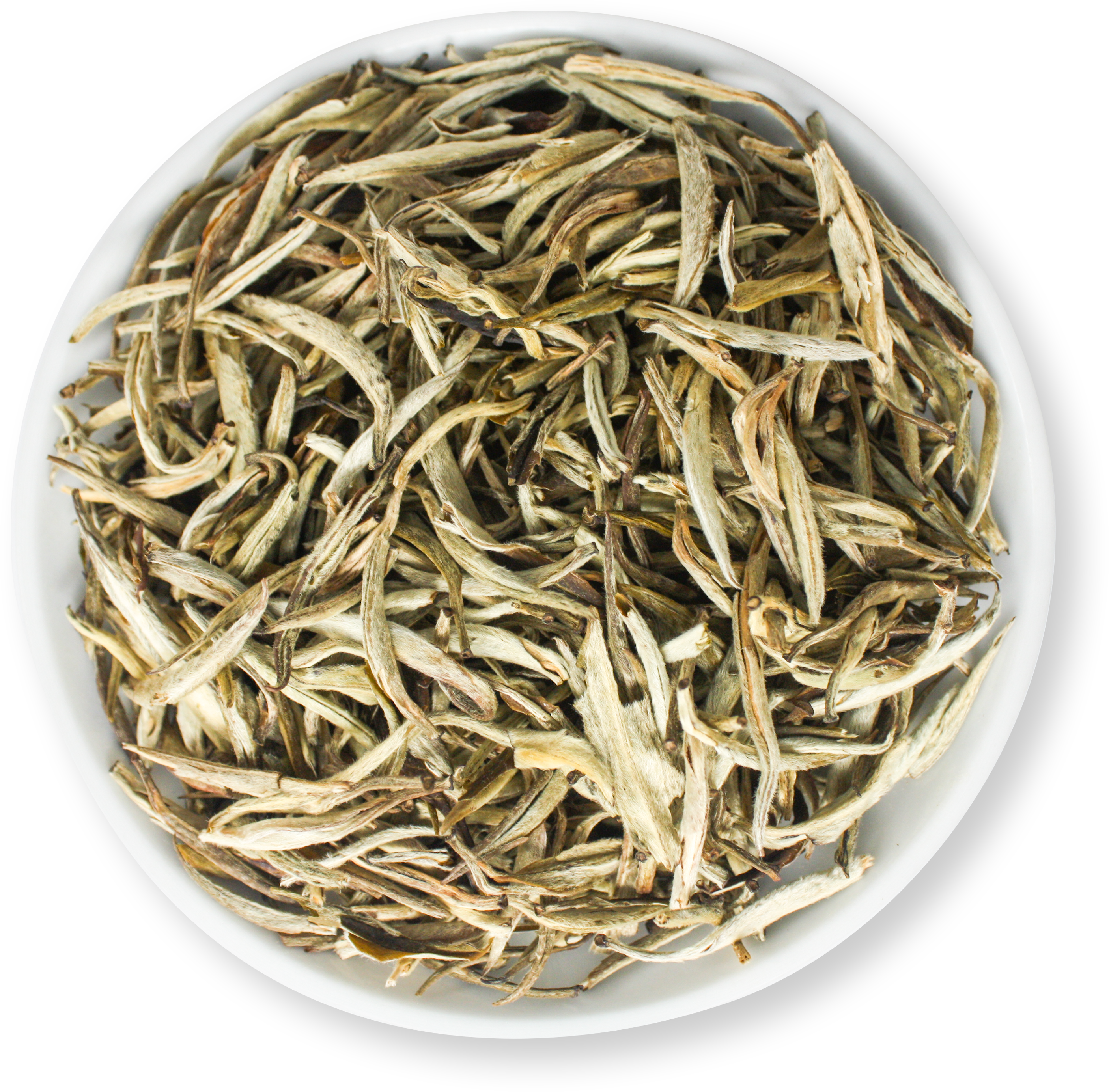 JasmineSilverNeedle.png