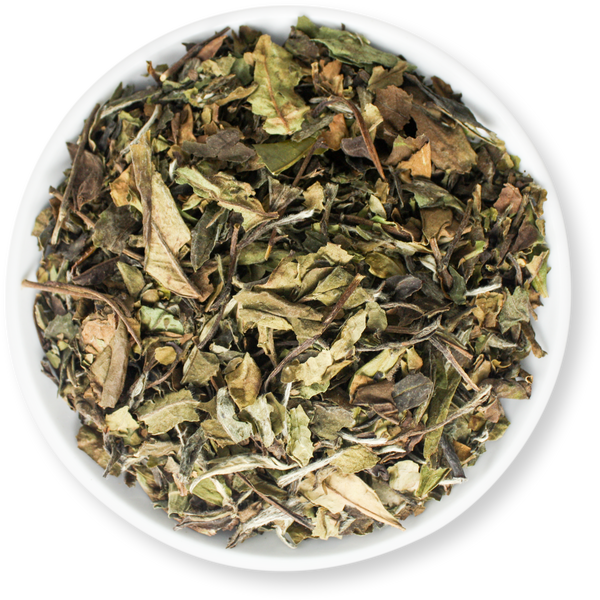 Pai Mu Tan White Tea – Short and Stout Tea