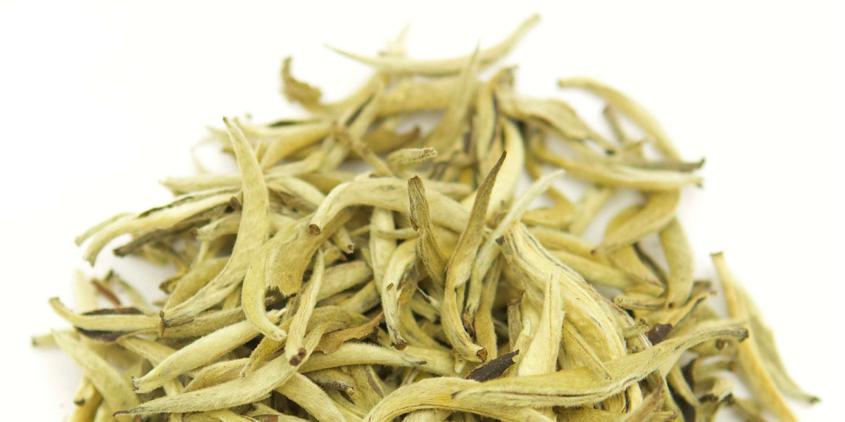 Silver Needle White Tea – Short and Stout Tea