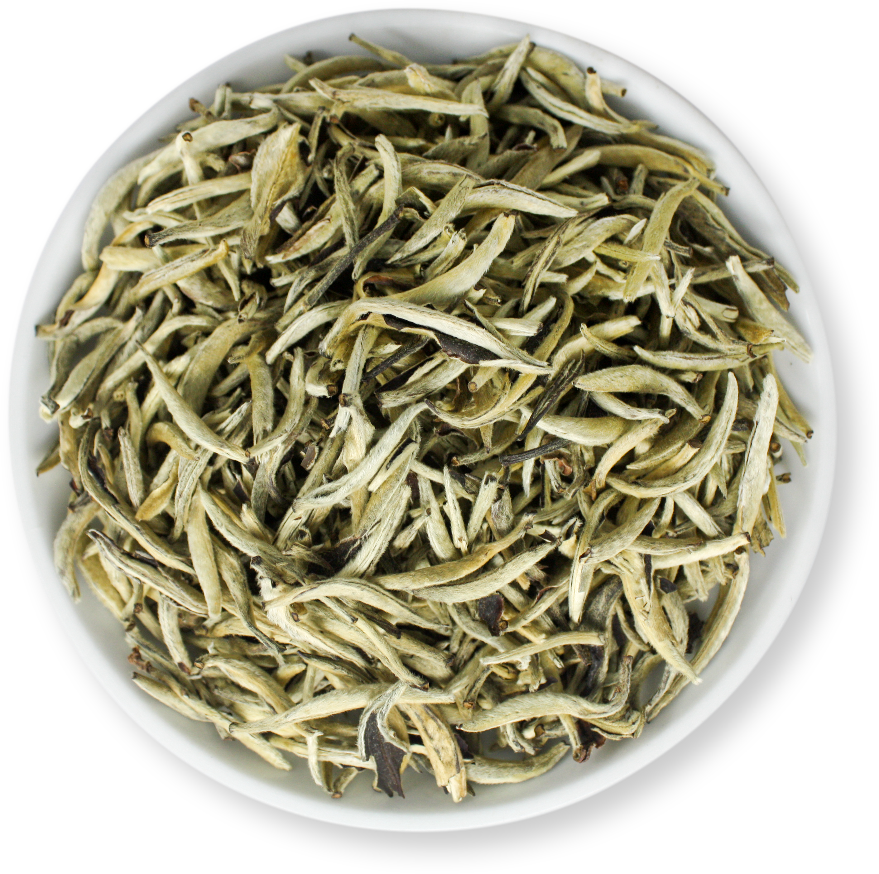 SilverNeedle.png